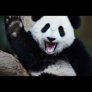 Meet your Posher, Maria beatriz